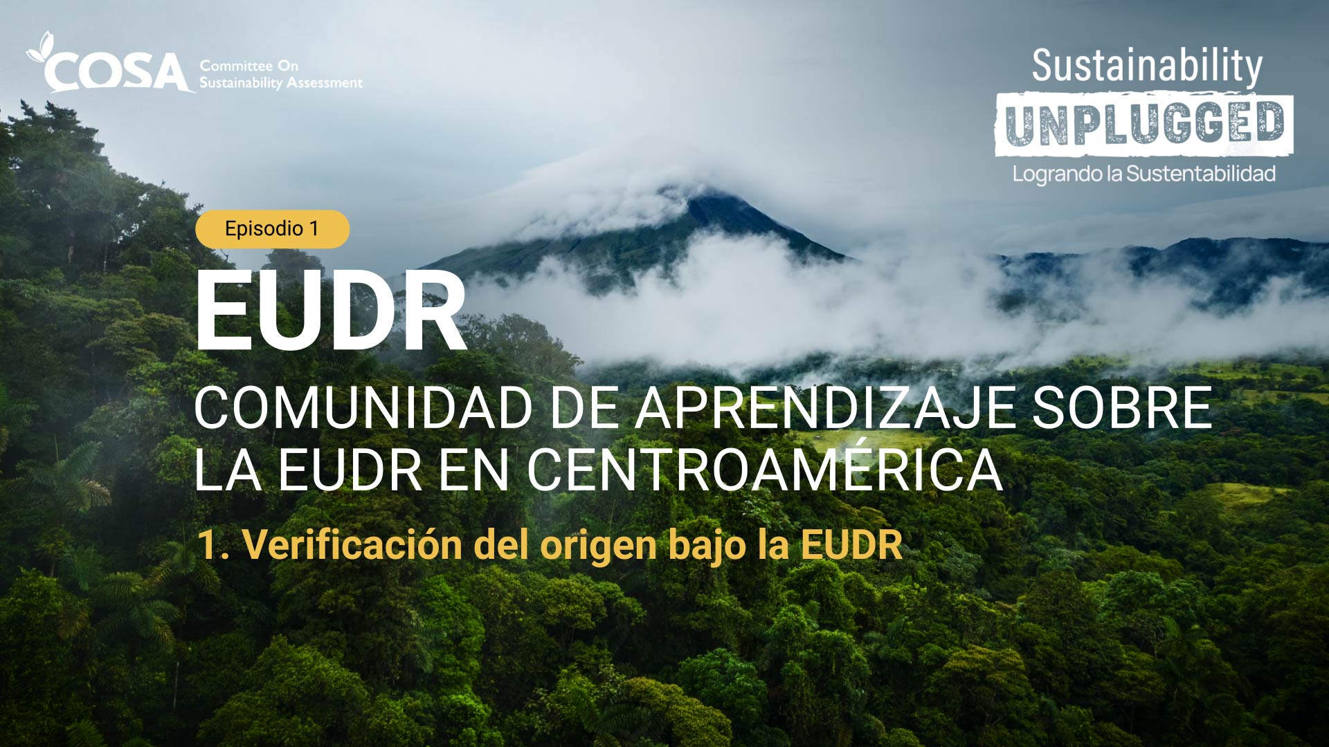Verificación del origen bajo la EUDR