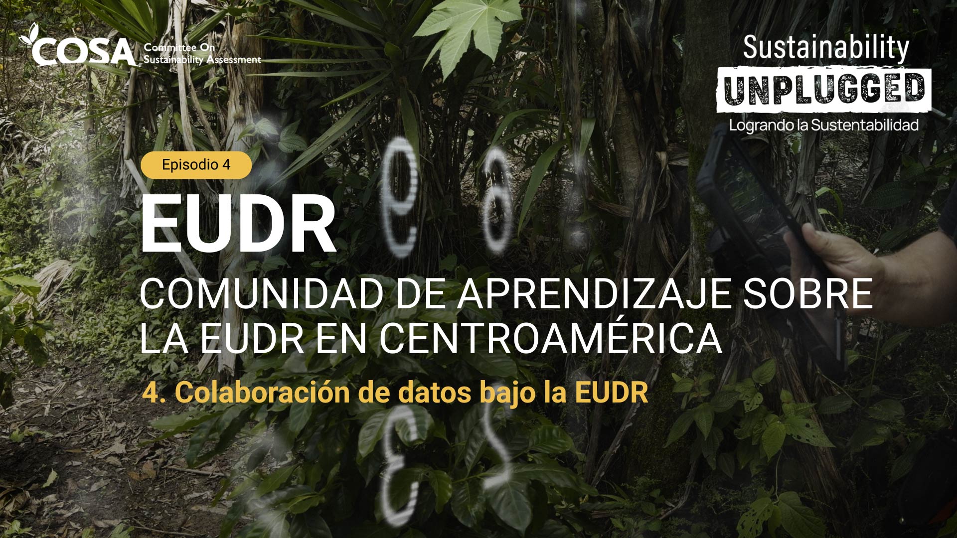 Colaboración de datos bajo la EUDR